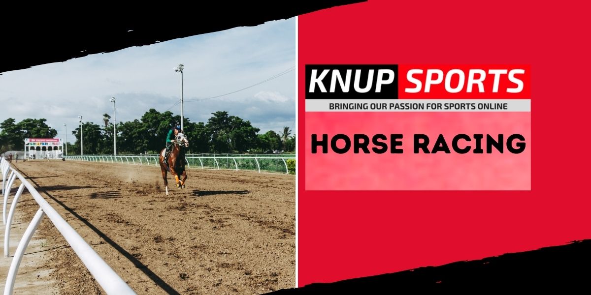 Horse racing article at Knup Sports